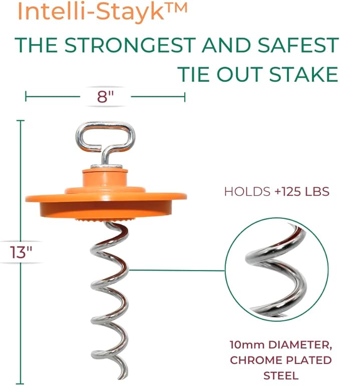 Intelli-Stayk: Beast Dog Surface-Lock Tie-Out Stake for Large and Strong Dogs