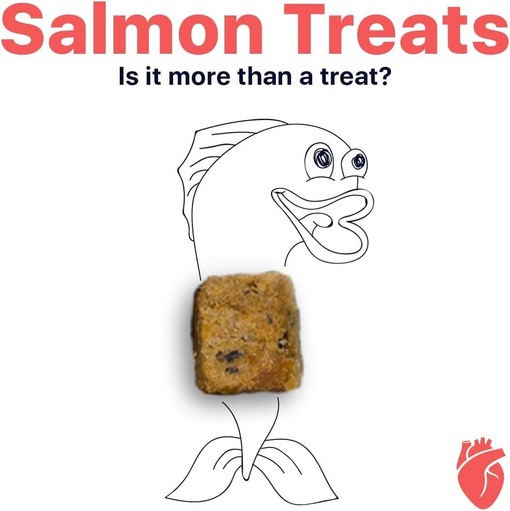 Freeze Dried Salmon Cat Treats 100% Natural New Zealand King Salmon Grain-Free Cat Essentials, High in Omega-3 Fatty Acids for Healthy Skin & Coat Cat Enrichment, Freeze Dried Cat Treats