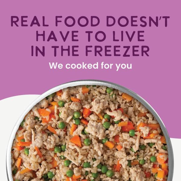 Health Extension Gently Cooked Chicken & Pumpkin Dog Food, Human-Grade & Shelf-Stable with Superfoods, Supports Digestion, Immunity, Skin & Coat, 9 oz Pouch (Pack of 5)