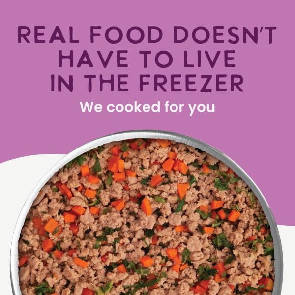 Health Extension Gently Cooked Grain-Free Duck & Kale Dog Food, Human-Grade & Shelf-Stable with Superfoods, Supports Digestion, Immunity, Skin & Coat, 9 oz Pouch (Pack of 10)