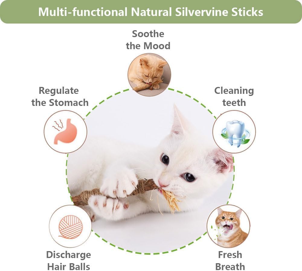 6 PCS Silvervine Sticks for Cats - Natural Cat Chew Toys for Teeth Cleaning, Kitten Teething & Aggressive Chewers