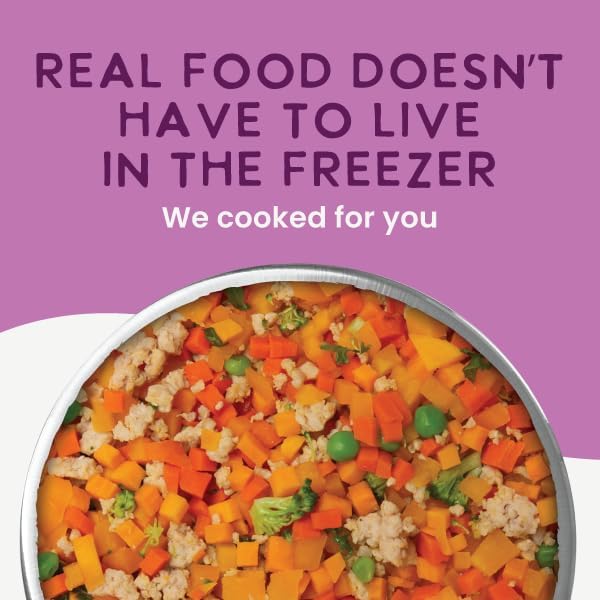 Health Extension Gently Cooked Grain-Free Vegetarian Formula Dog Food, Human-Grade & Shelf-Stable with Superfoods, Supports Digestion, Immunity, Skin & Coat, 9 oz Pouch (Pack of 1)