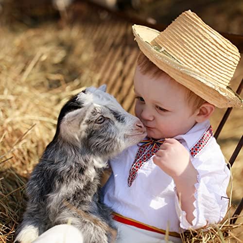 Blue Mountain Hay | Fresh Timothy Hay (15 Ounce) | Great for All Ages | High-Altitude Hay Pet Food for Rabbits, Guinea Pigs, Chinchillas, Hamsters, and Other Small Pets