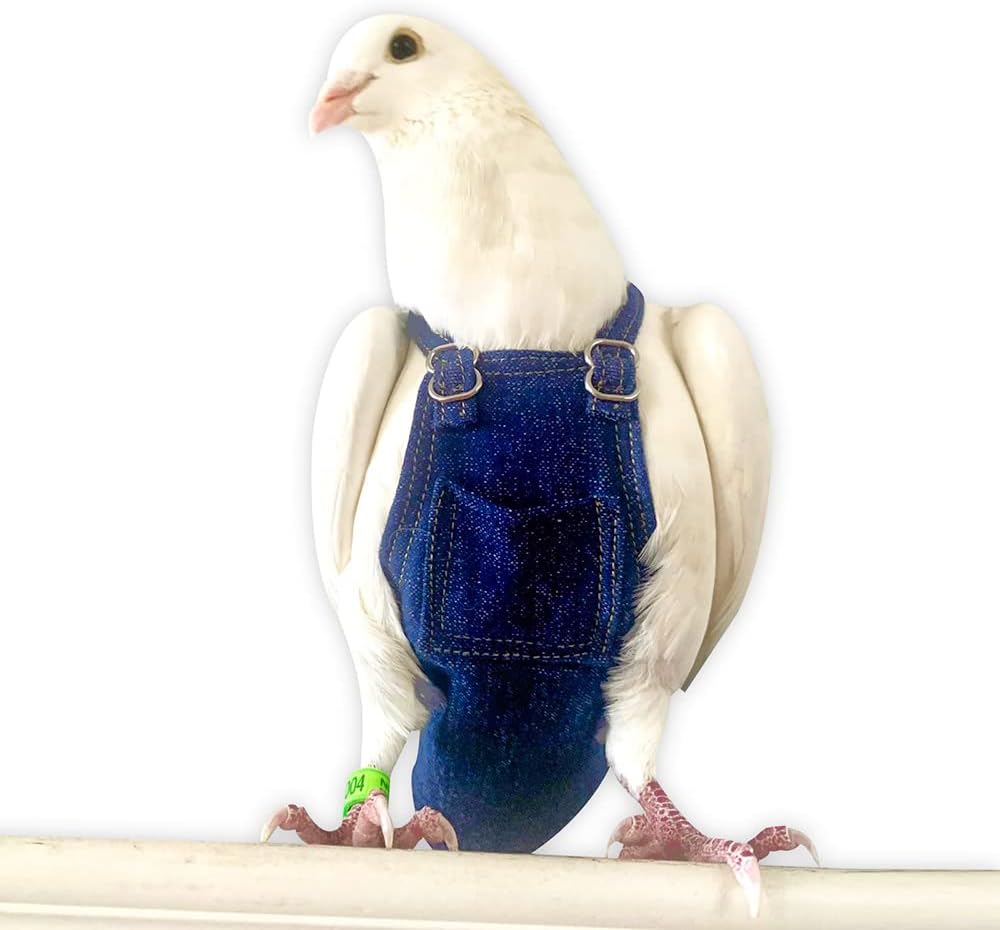 Bev's Birds Boutique - Regular Flyper, Dunagree Jeans Size 6.5