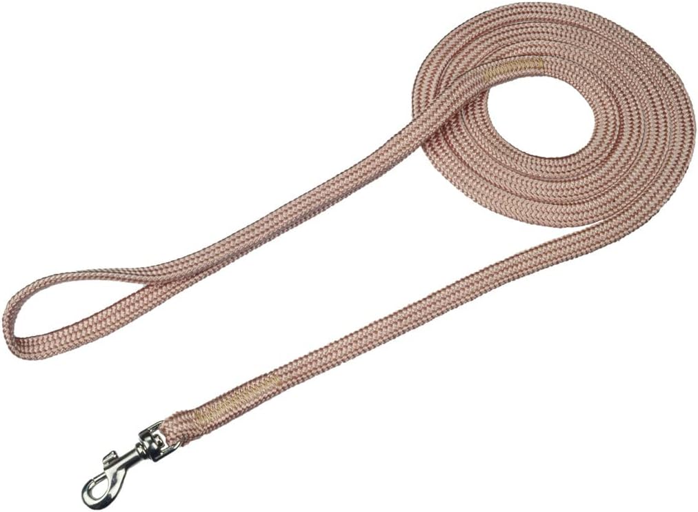 Alvalley Show Snap Dog Leash – Braided Nylon Dog Training Leash with Durable Snap Clips - Suitable for Showing, Training, and Walking - Perfect for Small, Medium, and Large Pets