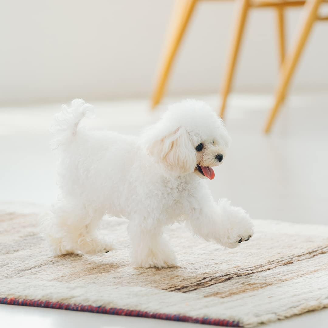 Nature's Protection Dental Chews for Dogs Teeth - Fights Bad Breath - Grain Free Dog Dental Treats for Small & Large Breed Adult Dogs with Light Fur, 5.2 oz (Superior Care - White Fish, Pack of 5)