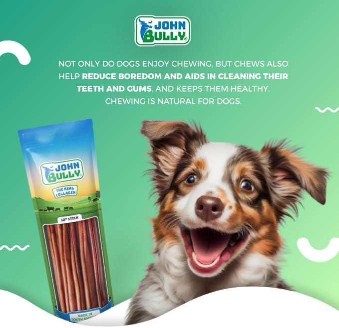 john bully Collagen Stick 12" 5PK, The Best Option for Your Dog, 100% Natural, Rich in Protein, Highly Digestible, Gluten Free,Premium Grade Quality,Odor Free The Real Collagen