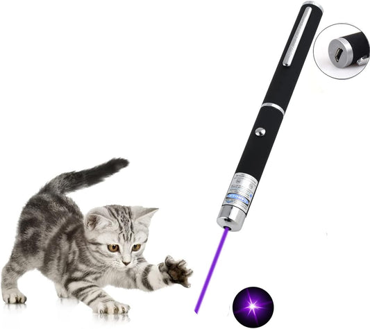 Cats Toys USB Rechargeable Pet Interactive Toys with Purple Pointer Remotes for Indoor Classroom Interactive Teaching (Purple, USB 1 Pack)