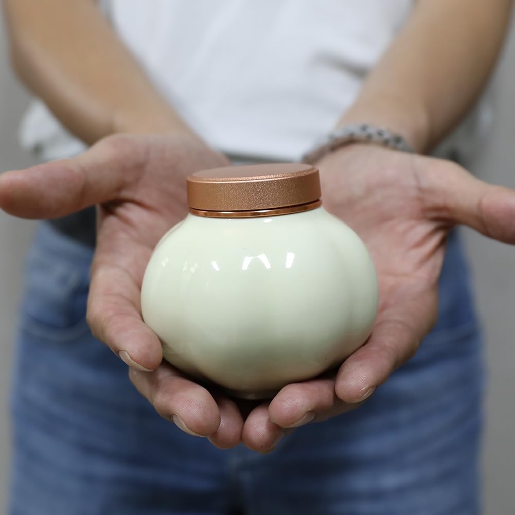 Fermus Memorial Pet Ashes Urn for Small Animal, Ceramics Memorial Keepsake Urns for Cats and Dogs, Hold 5.4 oz (160ml), Ceramics with Metal Lid (Pumpkin Shape Beige)