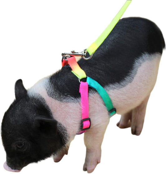 Mini Pig Adjustable Harness Leash for Hog Piggy and Other Small Animals -Ferret, Rabbit, Dog, Cat