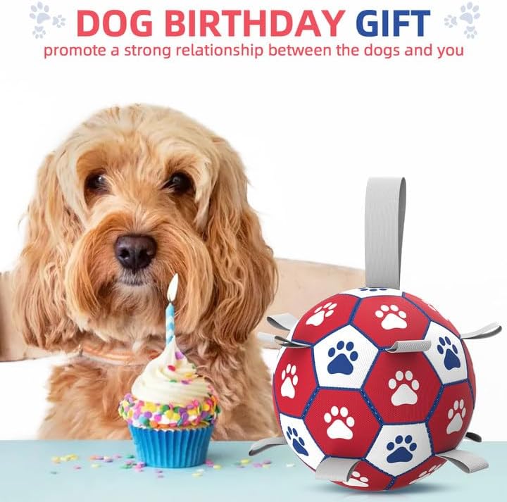 Diman Dog Balls, Dog Soccer Ball with Straps for Indoor Outdoor Play, Pet Toys Balls for Small Medium Dogs, Dog Birthday Gift, Interactive Dogs Toy for Tug of War (6 inch)