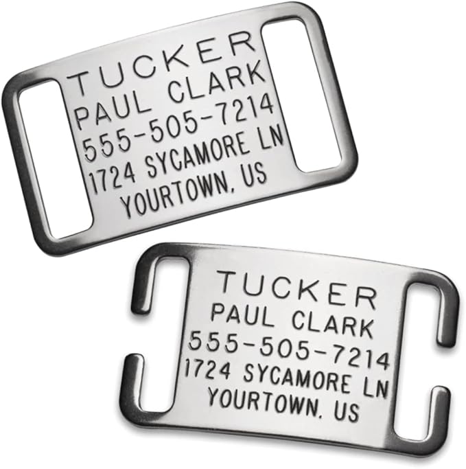 Boomerang Tags Slide on Dog ID Tags Engraved for Pets - Collar Tag, Personalized, Silent, Custom Slide-on Stainless Steel Dog Name Tag (Closed End Large for 1 Inch Wide Nylon Collars with Belt Buckle)