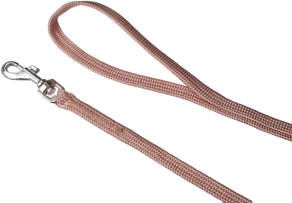 Alvalley Show Snap Dog Leash – Braided Nylon Dog Training Leash with Durable Snap Clips - Suitable for Showing, Training, and Walking - Perfect for Small, Medium, and Large Pets