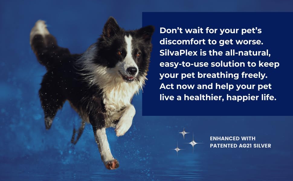 Natural Immune Support Solution for Dogs, Cats, Horses, Small Animals, 100 PPM Chelated Silver (8 oz)