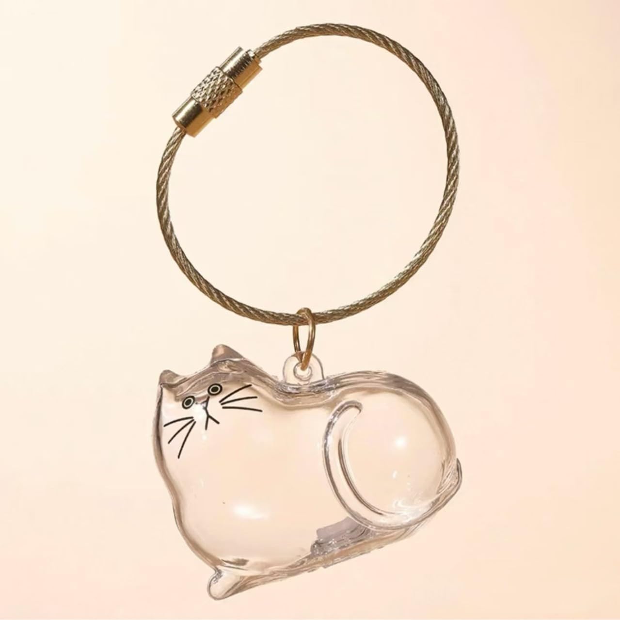 6 Pcs Cat Hair Keychain Keepsake - Clear Acrylic Fur Memorial Capsule for Pet Hair Preservation