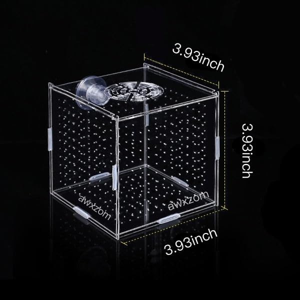 Acrylic Fish breeding Box, Acrylic Fish Isolation Box, Fish Separator for Aquarium, Hatchery Incubator with Suction Cups for Small Baby Fishes Shrimp Clownfish Guppy (3.9 * 3.9 * 3.9inch)