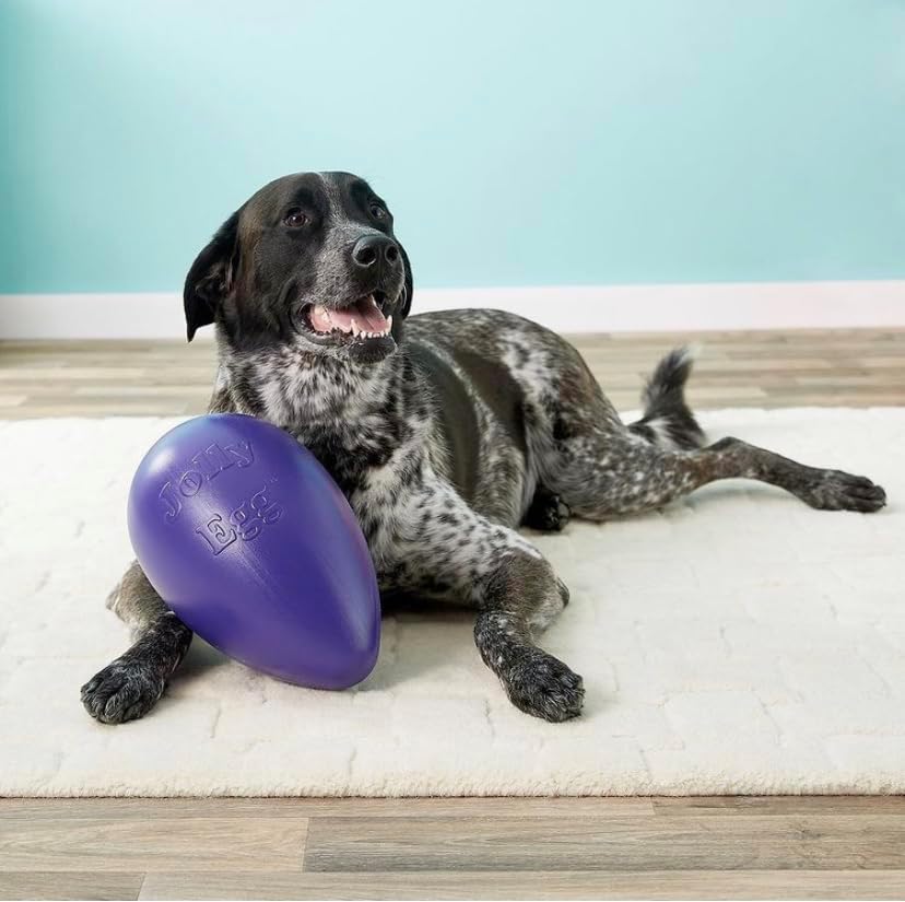 Jolly Pets Jolly Egg Dog Toy, 12 Inches/Large, Yellow (Pack of 2)