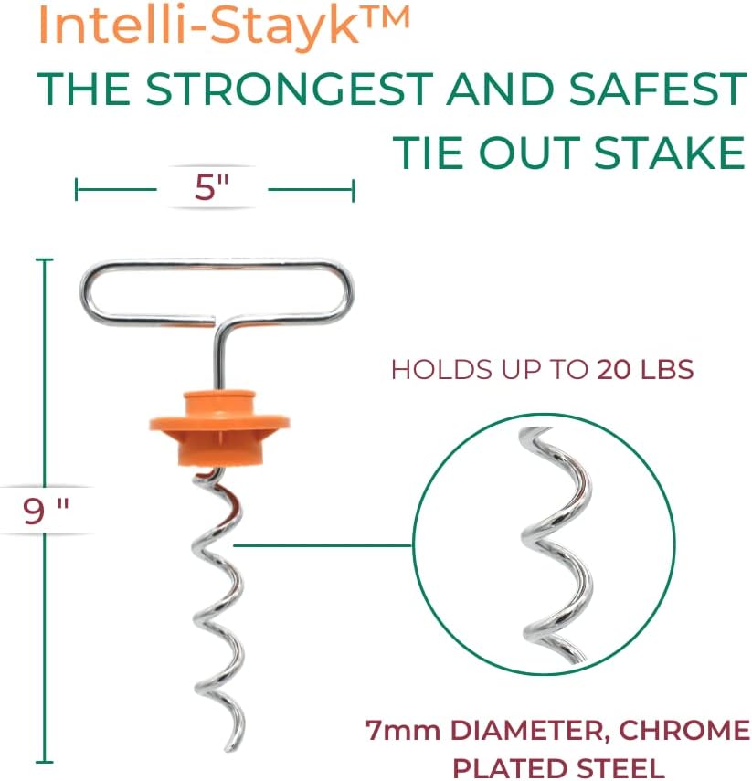IntelliLeash Mini Intelli-Stayk: Secure Tie-Out Stake for Small Dogs (Up to 20 Pounds) with Patented Surface-Lock Technology