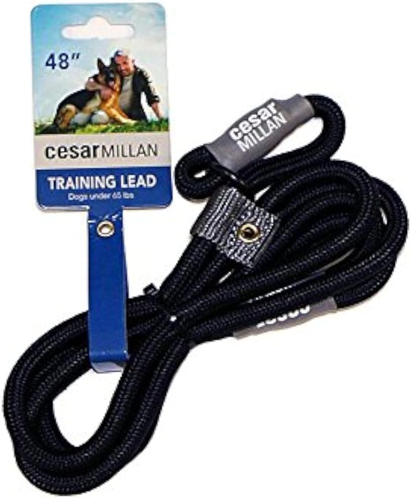 Cesar Millan Slip Lead Leash™ - 2-in-1 Slip Collar Dog Training Lead & Collar | Heavy Duty Durable Weatherproof Rope Leash, No Pull Training | Length 4ft Diameter 4/10”(Regular, Black)