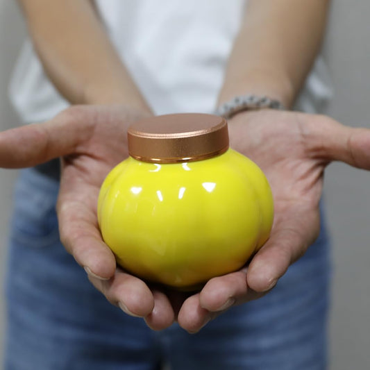 Fermus Memorial Pet Ashes Urn for Small Animal, Ceramics Memorial Keepsake Urns for Cats and Dogs, Hold 5.4 oz (160ml), Ceramics with Metal Lid (Pumpkin Shape Yellow)