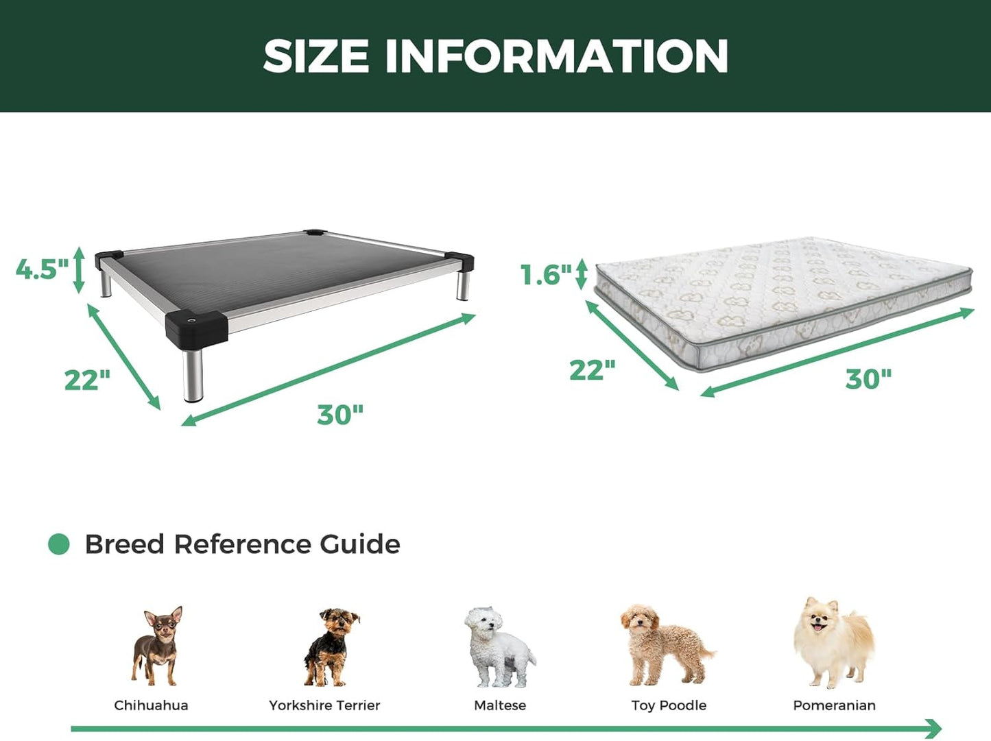 FXW TitanNest Chew-Proof Elevated Dog Bed, Raised Cot for Indoor/Outdoor/Camping Use, Durable & Washable Padded Pet Bed with Exclusive Cover for Extra-Small Dogs, 30.0" L x 22.0" W x 4.5" H, Gray