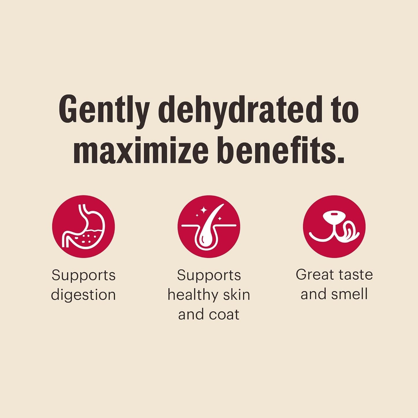 The Honest Kitchen Wholemade™ Whole Grain Turkey Dog Food, 10 lb Box