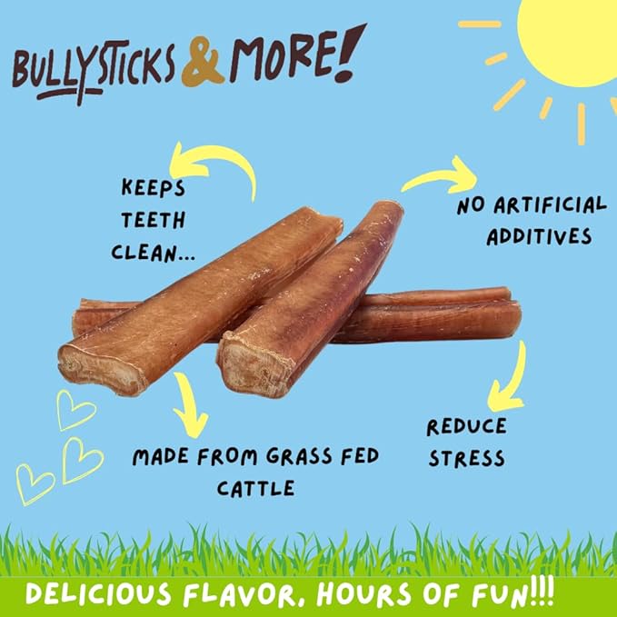 BULLYSTICKS & MORE 6 Inch Bully Sticks (Jumbo/Thick - 12 Count) | Bully Sticks for Large Dogs | 100% Grass Fed Beef | Dog Parents Choice Bully Stick Dog Chews | No Hide Bully Bones for Dogs
