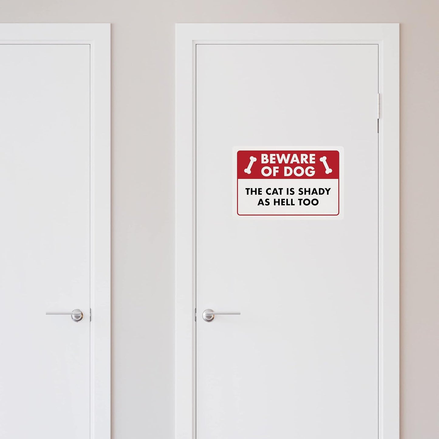 Beware of Dog, The Cat is Shady Too - Funny Cat Sign, Plastic - 8" x 12" - Perfect for Home Decor, Gift for Kitty Lovers, Warning Sign - ENVISIONED Signage