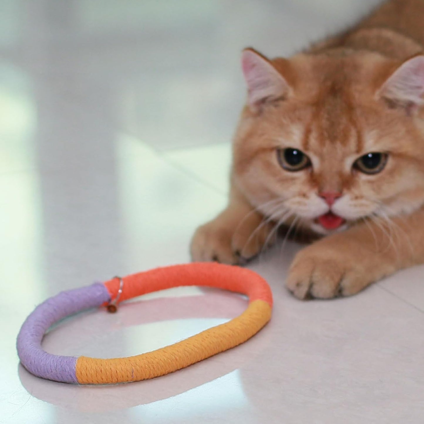 Cat Toys Chew Rope Loops with Refillable Natural Catnip, Safe Teeth Cleaning Toy with Feather for Indoor Kittens, Interactive Cat Enrichment Toy for Bored Indoor Adult Cats