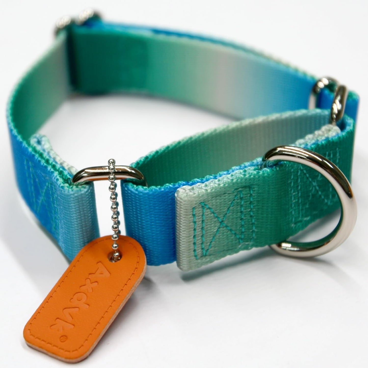 Martingale Dog Collar Colorful Gradient Fashionable - Anti-Escape Soft Durable Pets Collar for Walking Training Outdoor Daily Use -Medium,Turquoise Gradient