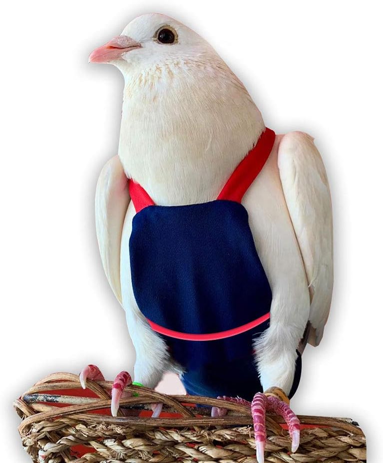 Bev's Birds Boutique - Regular Flyper, Navy and Red Size 6