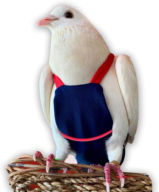 Bev's Birds Boutique - Regular Flyper, Navy and Red Size 8