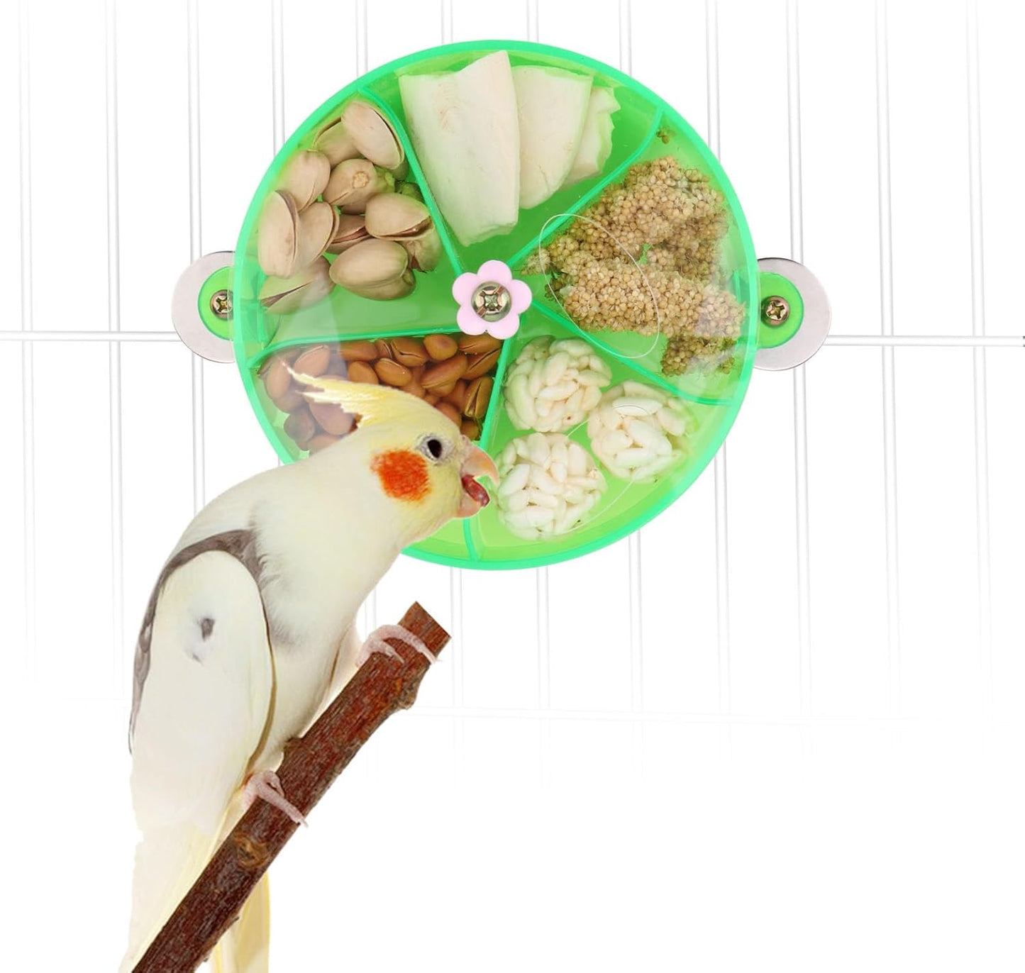 Bird Creative Foraging System Wheel Seed Food Ball Rotate Training Toy for Small and Medium Parrots Parakeet Cockatiel Conure (Green)