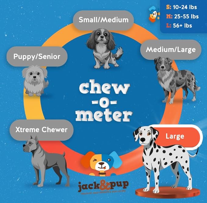 Jack&Pup 6" Bully Sticks for Dogs | Jumbo Odor Free Pizzle Sticks for Large Dogs | Single Ingredient, 100% Beef (Jumbo, 24 Pack)