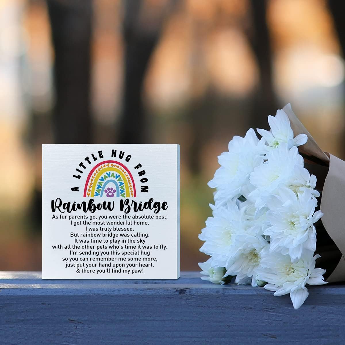 Memorial Gifts for Lose of Dog Cat, Pet Sympathy Gift Remembrance Gifts Loss of Cat Bereavement Gifts, A Little Hug from Rainbow Bridge, Dog Memorial Desk Decor Cat Sympathy Wooden Box Sign