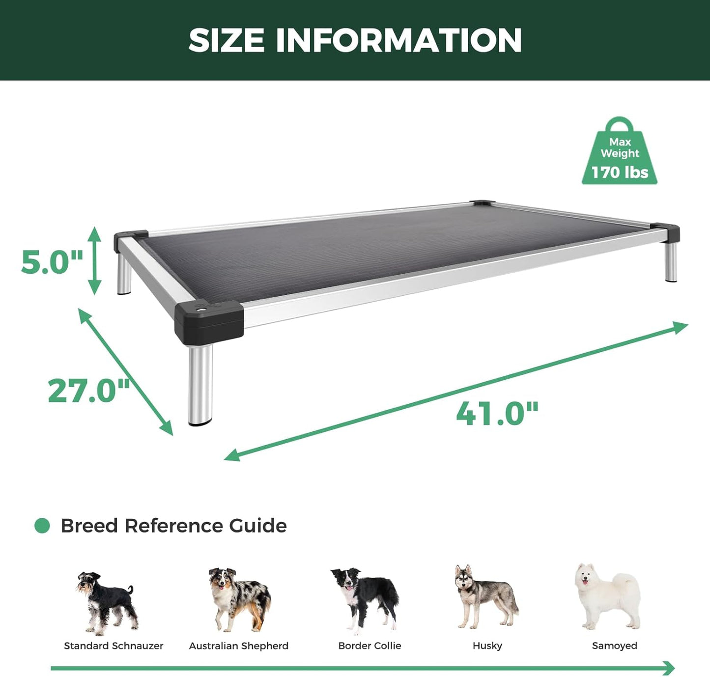 FXW TitanNest Chew-Proof Elevated Dog Bed, Raised Cot for Indoor/Outdoor/Camping Use, Durable & Washable Padded Pet Bed for Medium Dogs, 41.0" L x 27.0" W x 5.0" H, Gray