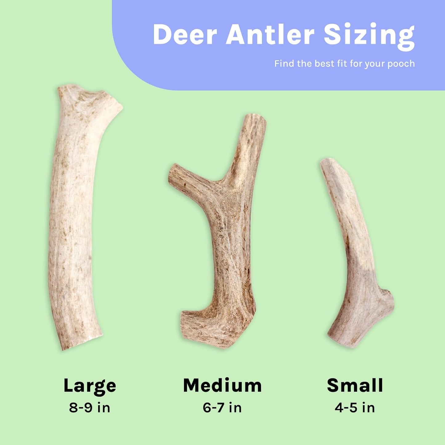 Good Trouble Premium Deer Antlers for Small Dogs – 1 Whole Antler Pets - North American Sourced Deer Antlers for Dental Health & Anxiety Relief - Odor-Free & Non-Toxic Chew Bone for Dogs