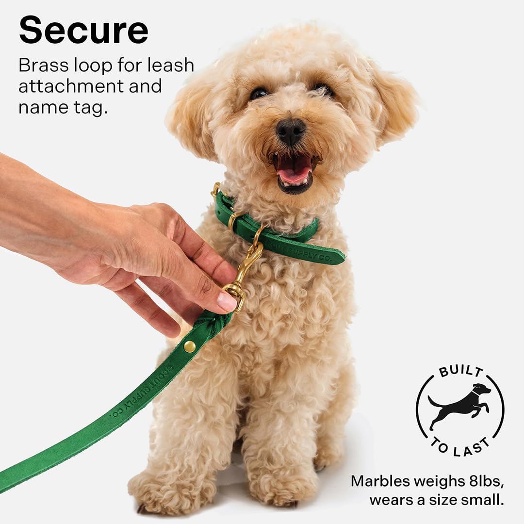 Classic Genuine Leather Dog Collar | Dog Collars for Medium Dogs, Small Dogs, Large Dogs & Extra Large Dog | Wide Dog Collar | Heavy Duty Collar (Green, XX Large)