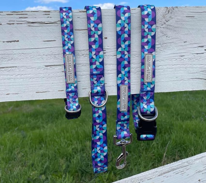 Lucky Love Dog - Adjustable Dog Collar and Leash Set with Easy Click Buckle for Small to Large Dogs, Durable, & Comfortable Collar for Male & Female Dogs, Puppies & Adult Ones - Jasper Combo, XS