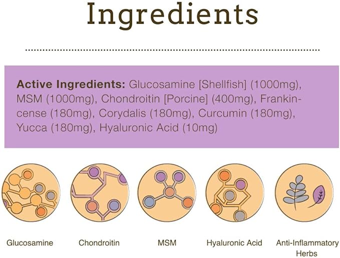 Herbsmith Sound Dog Viscosity – Advanced Joint Support for Dogs – Veterinarian Recommended Glucosamine for Dogs, Hyaluronic Acid, Chondroitin, MSM – Natural Arthritis Pain Relief – 500g Powder