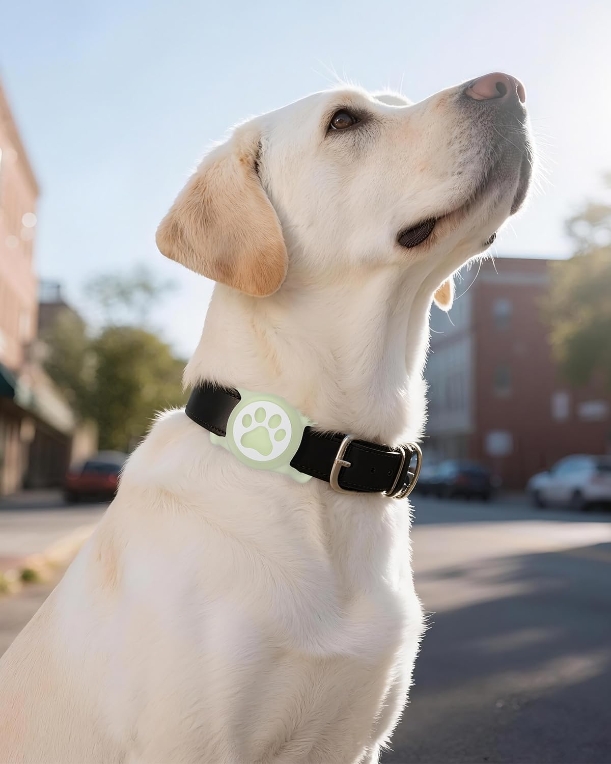 IP68 Waterpoof Dog Airtag Holder, Stretchy Silicone Full Body Covered Apple Air Tag Holder for Dog Cat Collar Fit All Width Collar (Luminous, 1 Pack)