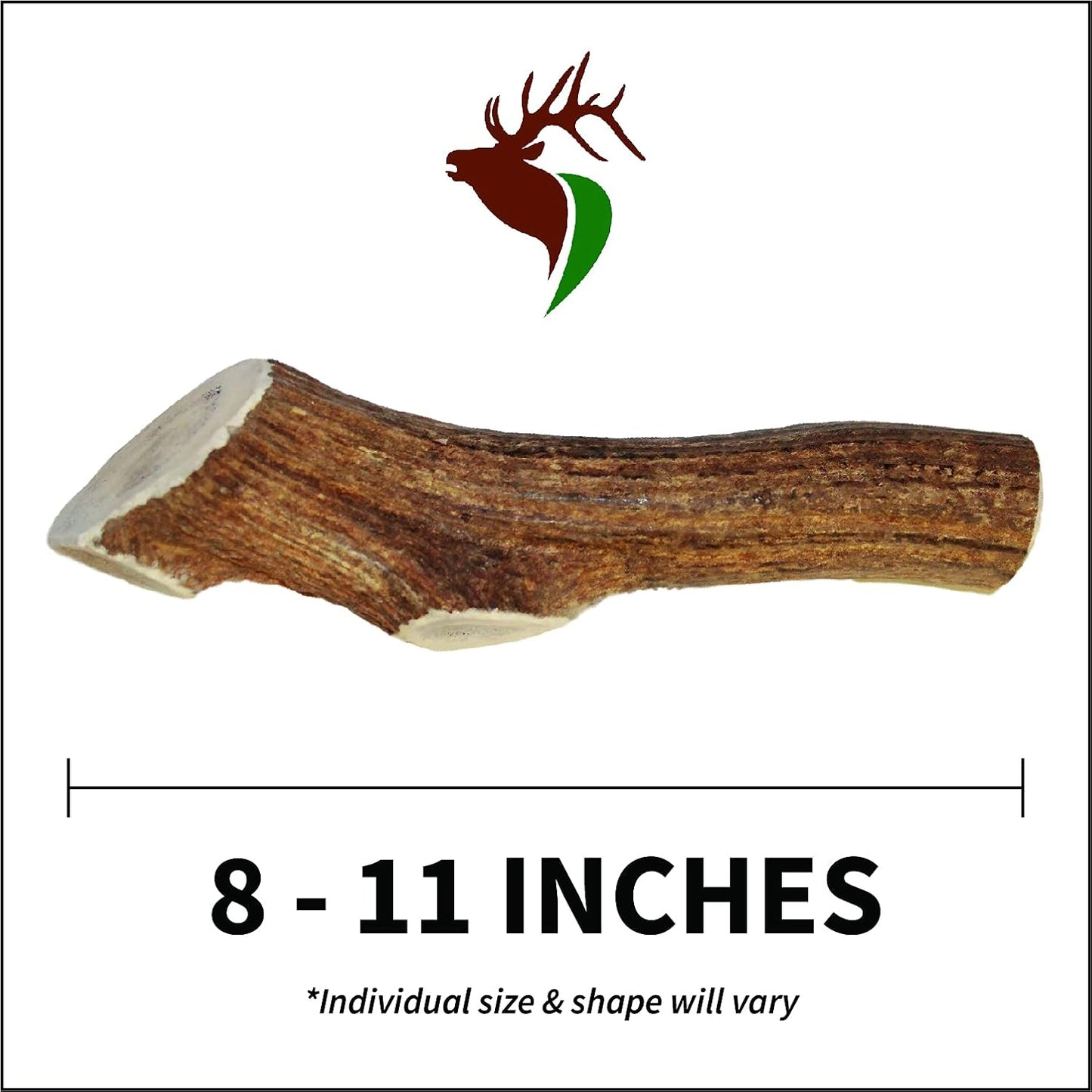 Giant Whole Single Pack (for 75+ lb Dogs) Premium Grade Elk Antler for Dogs (1 Piece) Sourced in The USA