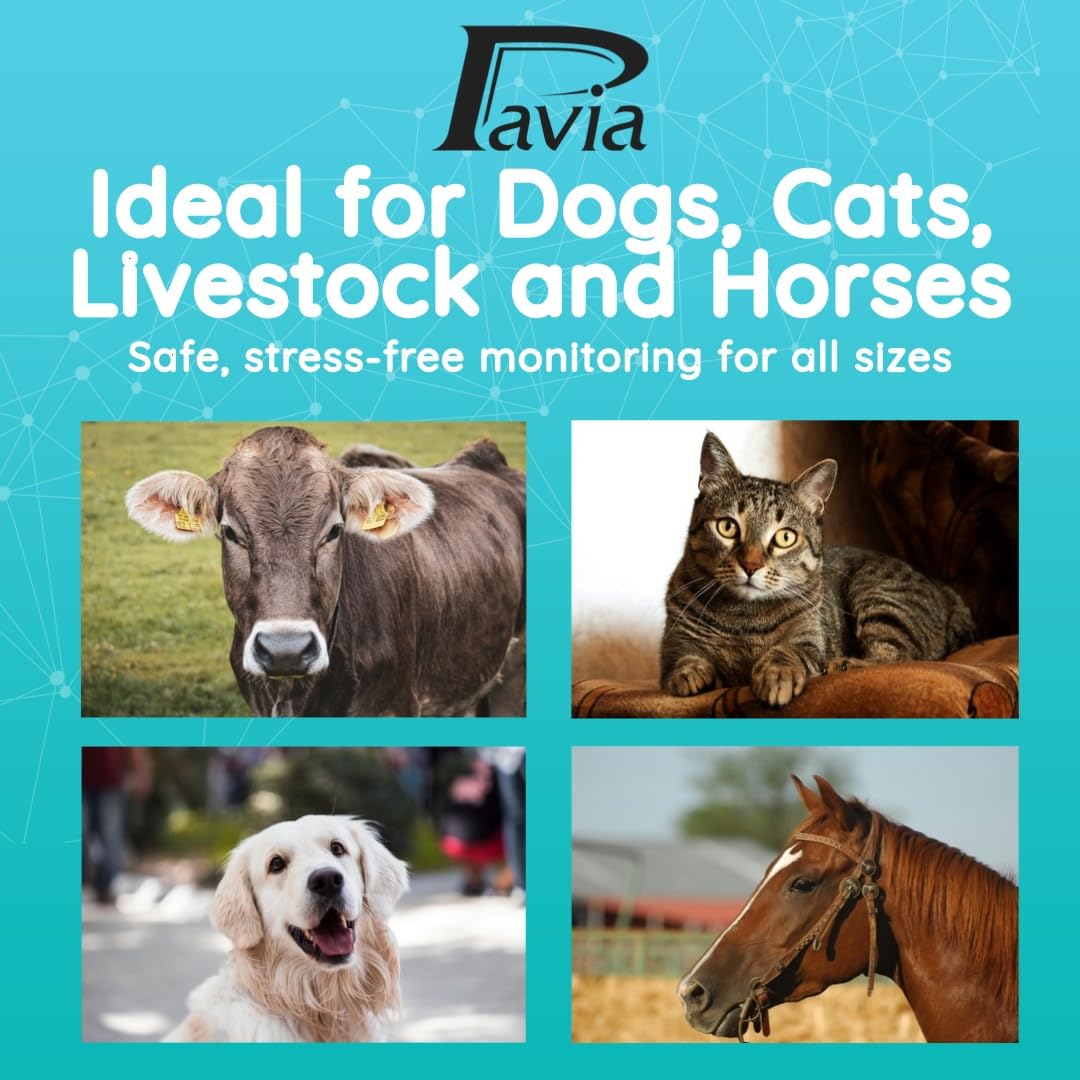 Pavia Rectal Temp Veterinary Thermometer | Accurate Temps in Only 6 Seconds | Cordless | Ideal for Dogs Cats Horses Pets | No Expensive Probe Covers | Trusted by Vets and Breeders