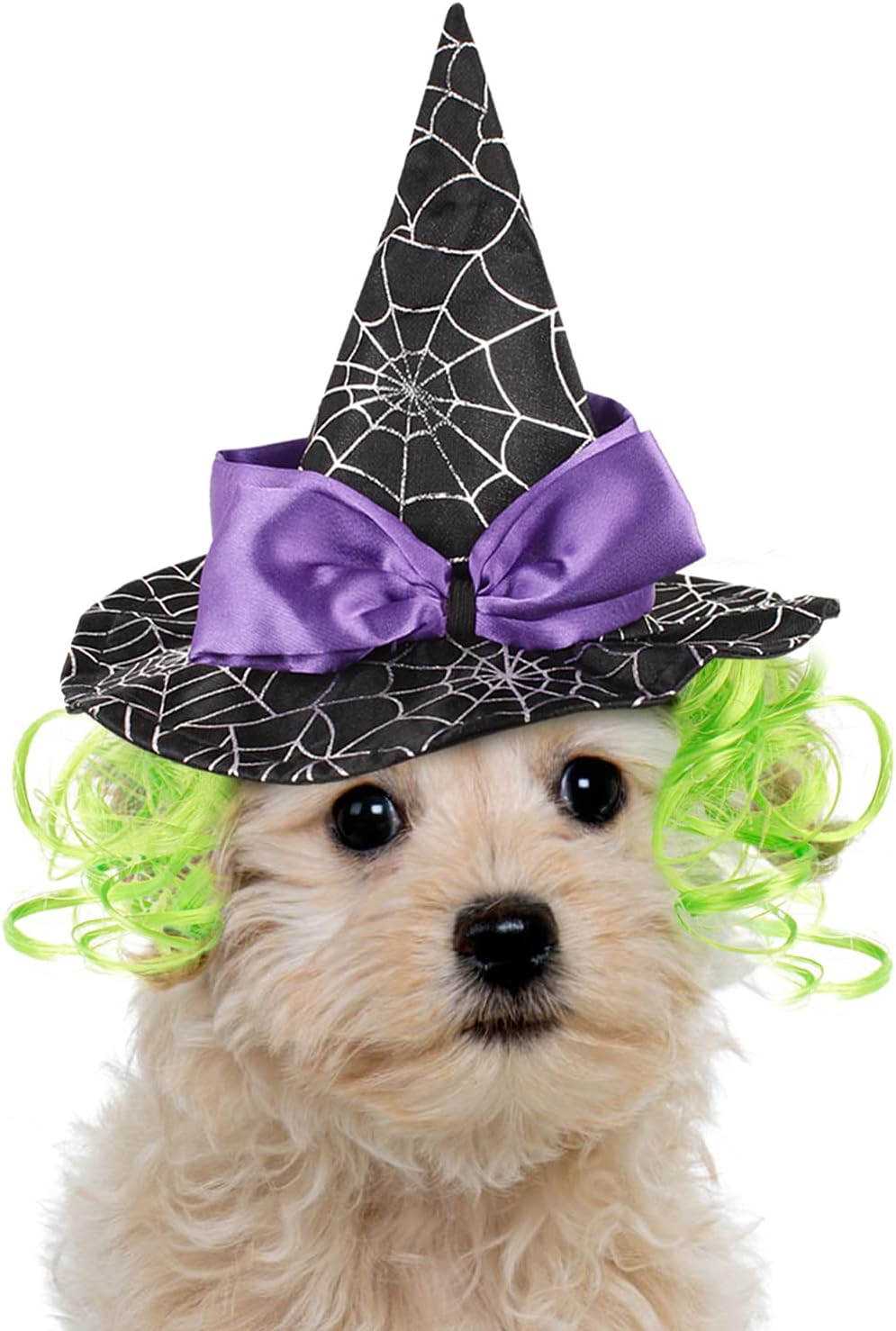 LESYPET Cat Halloween Costume Hat Dog Hat, Wizard Hat with Green Wig for Dog Cat Cosplay for Halloween, Christmas, Party