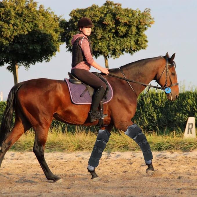 WORLD-BIO Horse Ice Boots (2pcs)/Horse Ice Pack for Injuries/Swelling, Horse Leg Ice Wraps with Flexible Straps for Horse Hock, Ankle, Knee, Legs&Horse Hooves,& Horse Gift Ideas for Horse Lovers-Black