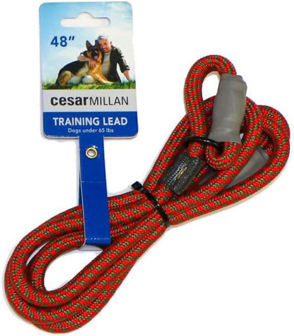 Cesar Millan Slip Lead Leash™ - 2-in-1 Slip Collar Dog Training Lead & Collar | Heavy Duty Durable Weatherproof Rope Leash, No Pull Training | Length 4ft Diameter 4/10”(Regular, Red/Olive)