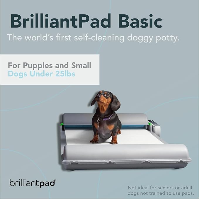 BrilliantPad Indoor Dog Potty for Small Pets, Basic | Automatic Self Cleaning with Odor Control, Puppy Training Alternative to Grass Turf, Mess Free | Includes 1 Disposable Absorbent Pee Pad Roll