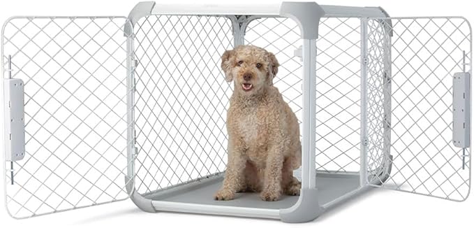 DIGGS Evolv Dog Crate - Slim, Durable Dog Kennel with Removable Ceiling Panel and Modular Design - Safe, Stylish, and Convenient (Ash, Intermediate)