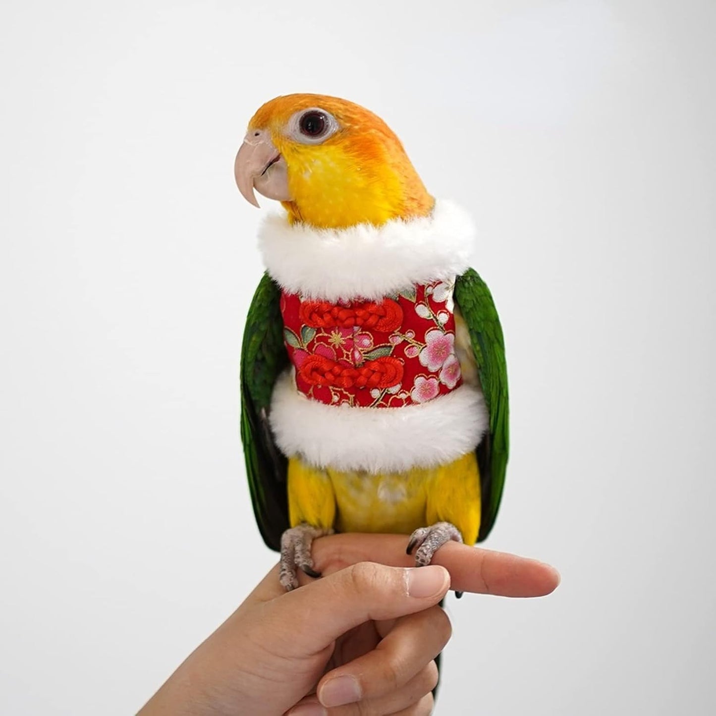 Bird Costume Bird Flight Suit Bird Clothes Cosplay Photo Prop for Parrots Parakeet Cockatiel Sun Conure, Bird Hoodie Small Animals Apparel (Black, Small)