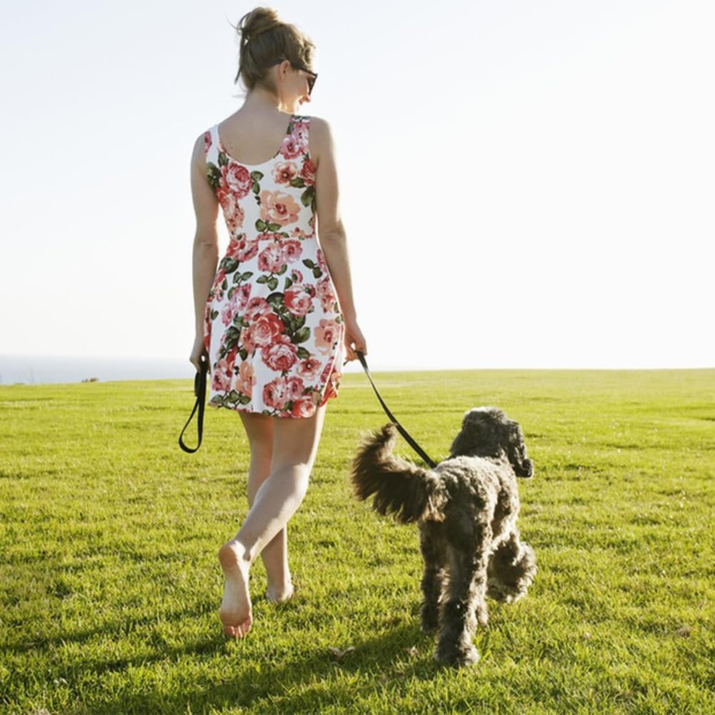 LWBMG Leather Dog Leash - 4ft x 1/2 inch, Braided, Comfortable Training Leash for Small & Medium Dogs